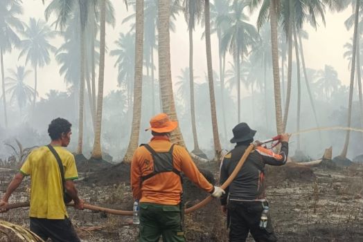 Tim Gabungan Berjibaku Padamkan Kathutla yang Melanda Dua Desa di Inhil